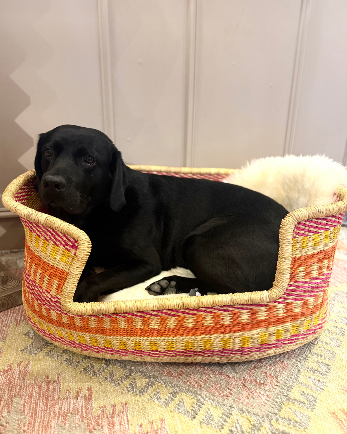 Dog Bed | Sunrise